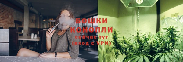 крисы Новодвинск