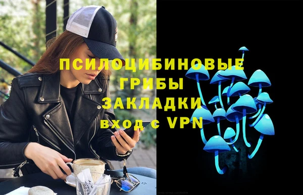 ГАЛЛЮЦИНОГЕННЫЕ ГРИБЫ Нефтекумск