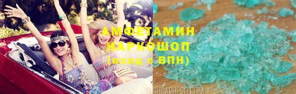 крисы Новодвинск