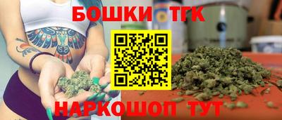крисы Заводоуковск