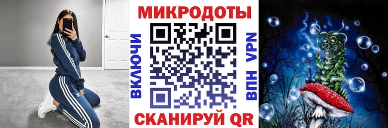 Галлюциногенные грибы Psilocybine cubensis Татарск